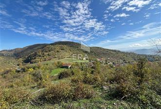 Sakarya Hendek Bıçkıatikte Ana Yola Yakın 19 Dönüm Tarla