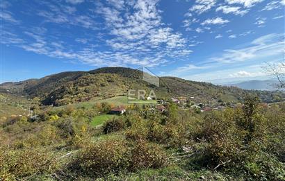 Sakarya Hendek Bıçkıatikte Ana Yola Yakın 19 Dönüm Tarla