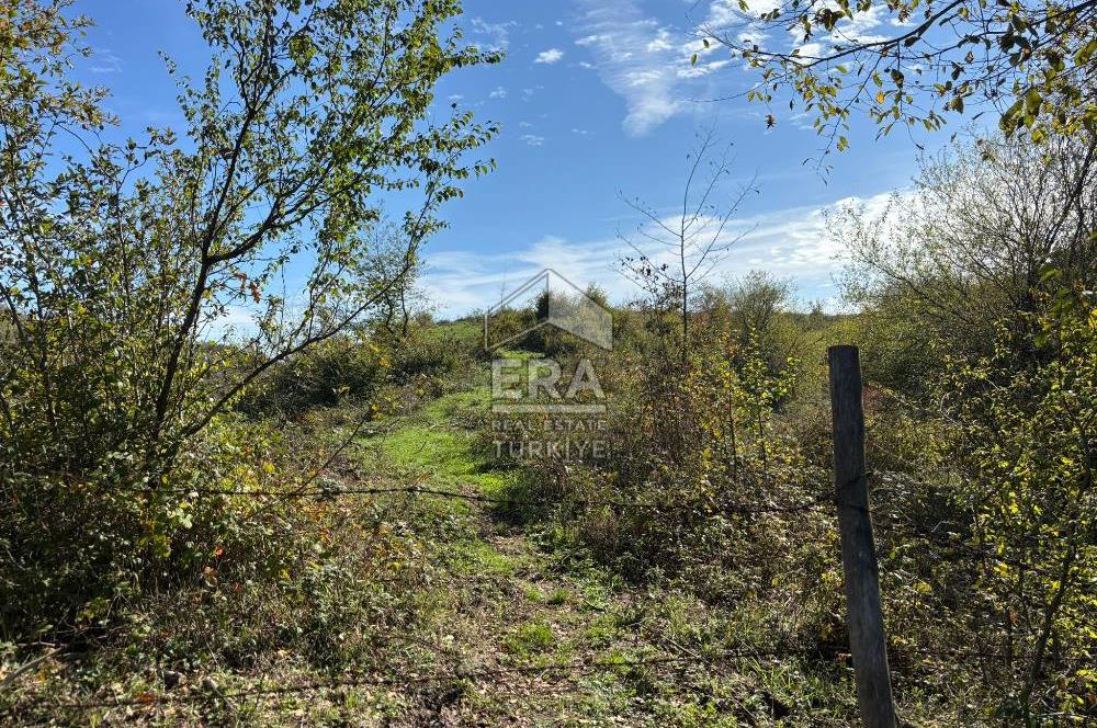 Sakarya Hendek Bıçkıatikte Ana Yola Yakın 19 Dönüm Tarla