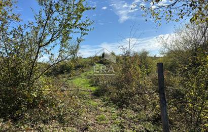 Sakarya Hendek Bıçkıatikte Ana Yola Yakın 19 Dönüm Tarla