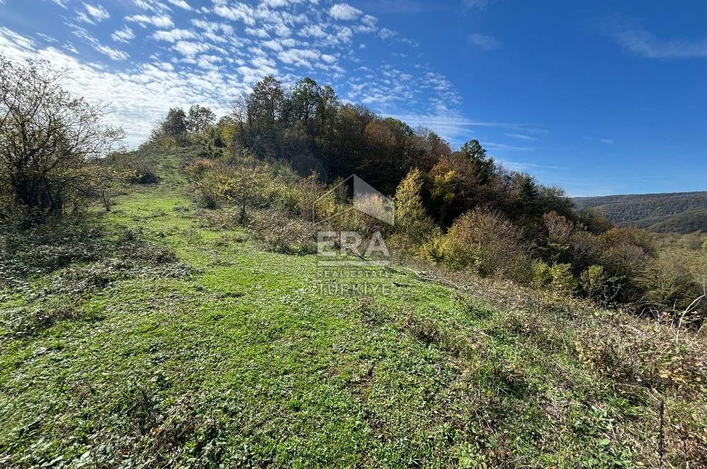 Sakarya Hendek Bıçkıatikte Ana Yola Yakın 19 Dönüm Tarla