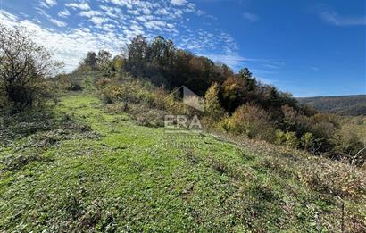 Sakarya Hendek Bıçkıatikte Ana Yola Yakın 19 Dönüm Tarla