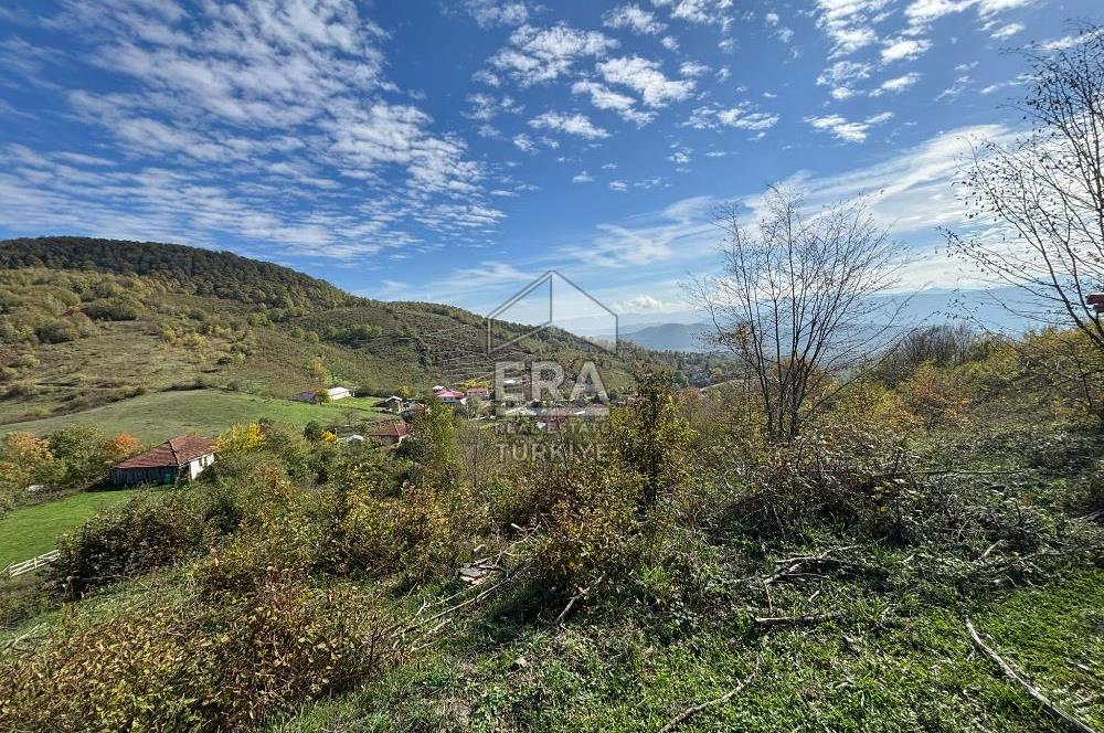 Sakarya Hendek Bıçkıatikte Ana Yola Yakın 19 Dönüm Tarla