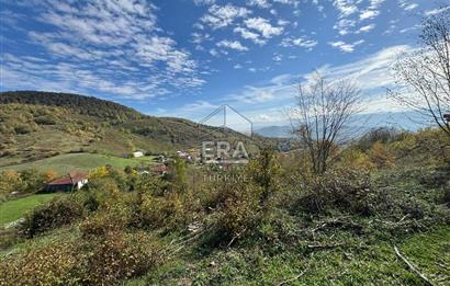 Sakarya Hendek Bıçkıatikte Ana Yola Yakın 19 Dönüm Tarla