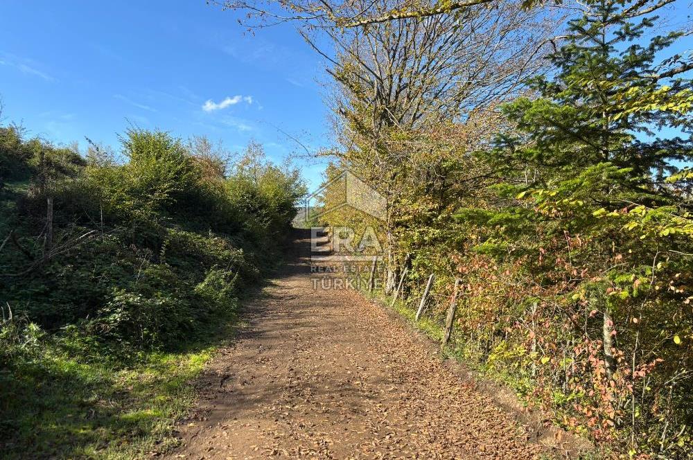 Sakarya Hendek Bıçkıatikte Ana Yola Yakın 19 Dönüm Tarla