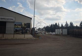 ANTALYA KÖÜRCÜLER LİRALIK İŞ YERİ - 1 - 13847