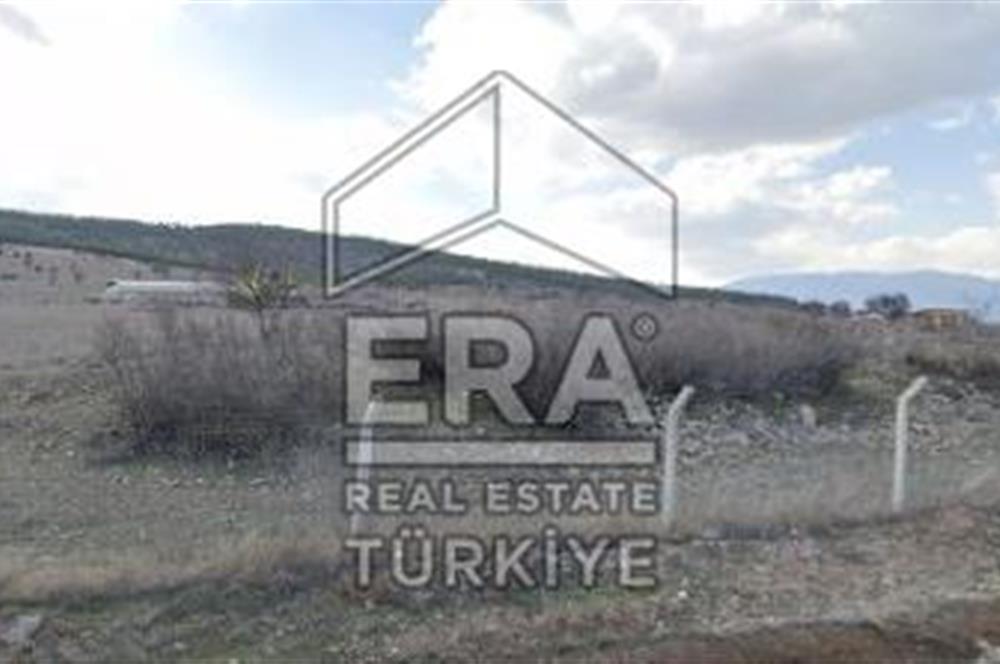 ANTALYA KORKUTTELİ  BOZOVA SATILIK TARLA