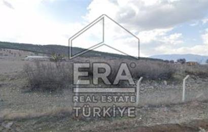 ANTALYA KORKUTTELİ  BOZOVA SATILIK TARLA