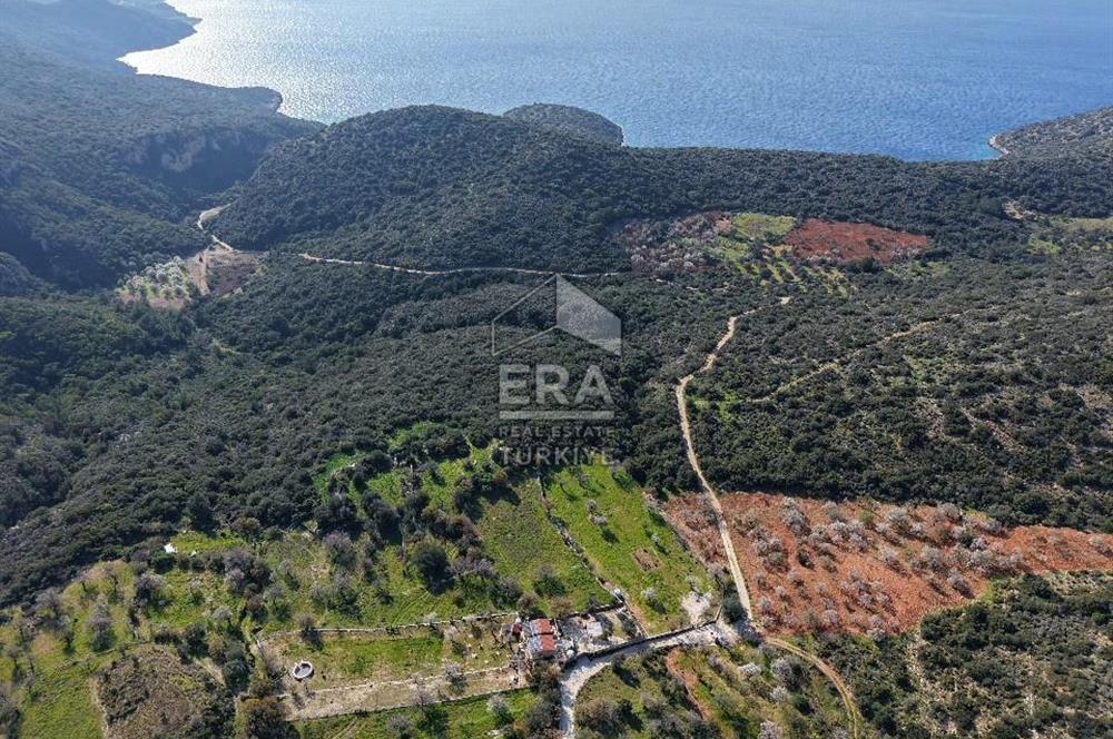 Datça Cumalı Bükceğiz Koyunda Yatırımlık 667 m2 Tarla
