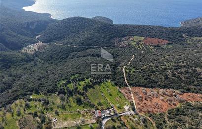 Datça Cumalı Bükceğiz Koyunda Yatırımlık 667 m2 Tarla