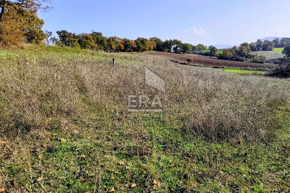 ERA SÖZ GAYRİMENKULDEN BALYA ILICA’DA KAÇIRILMAYACAK YATIRIM FIRSATI SATILIK TARLA