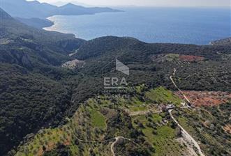 Datça Cumalı Bükceğiz Koyunda Yatırımlık 667 m2 Tarla - 2 - 11497