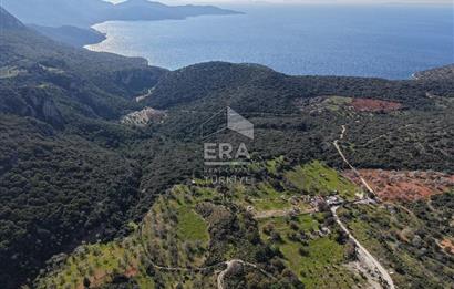 Datça Cumalı Bükceğiz Koyunda Yatırımlık 667 m2 Tarla