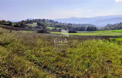 ERA SÖZ GAYRİMENKULDEN BALYA ILICA’DA KAÇIRILMAYACAK YATIRIM FIRSATI SATILIK TARLA