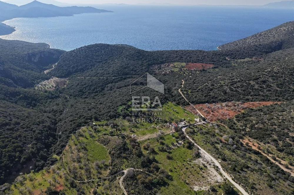 Datça Cumalı Bükceğiz Koyunda Yatırımlık 667 m2 Tarla