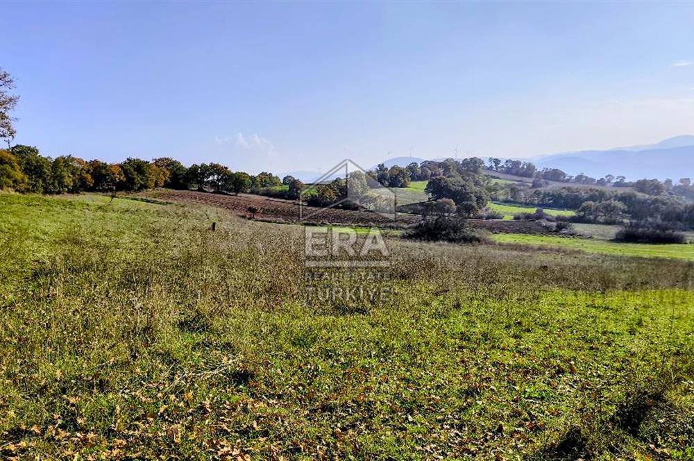 ERA SÖZ GAYRİMENKULDEN BALYA ILICA’DA KAÇIRILMAYACAK YATIRIM FIRSATI SATILIK TARLA