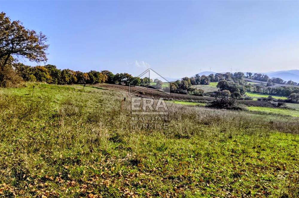 ERA SÖZ GAYRİMENKULDEN BALYA ILICA’DA KAÇIRILMAYACAK YATIRIM FIRSATI SATILIK TARLA