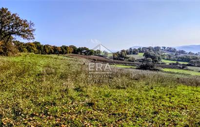 ERA SÖZ GAYRİMENKULDEN BALYA ILICA’DA KAÇIRILMAYACAK YATIRIM FIRSATI SATILIK TARLA
