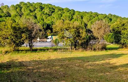 ERA SÖZ GAYRİMENKULDEN İVRİNDİ SOĞANBÜKÜN’DE SATILIK TARLA