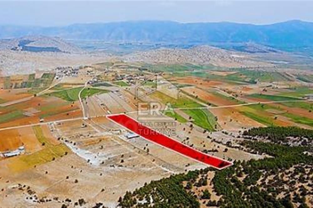 ANTALYA KORKUTTELİ  BOZOVA SATILIK TARLA