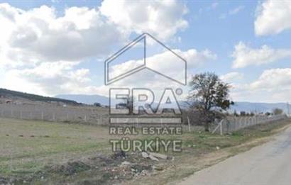 ANTALYA KORKUTTELİ  BOZOVA SATILIK TARLA