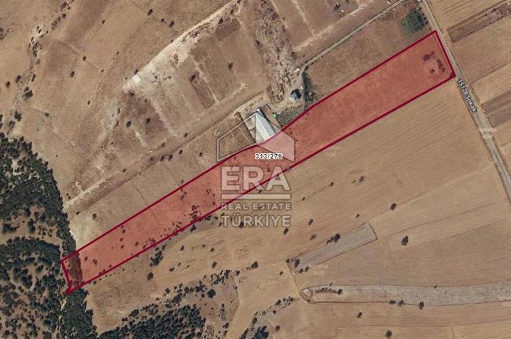 ANTALYA KORKUTTELİ  BOZOVA SATILIK TARLA