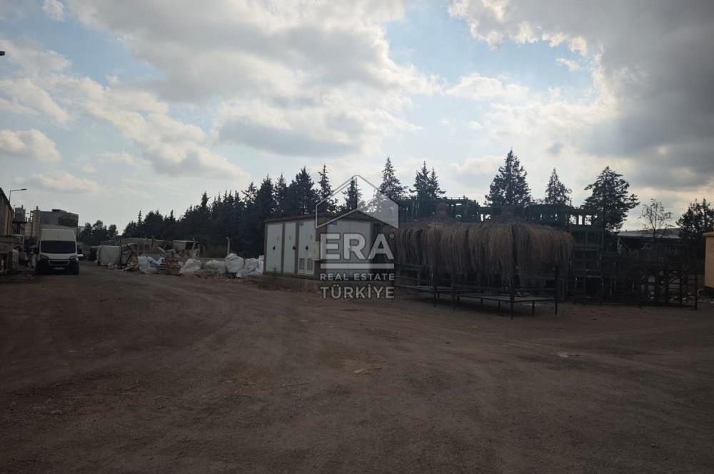 ANTALYA KÖÜRCÜLER LİRALIK İŞ YERİ