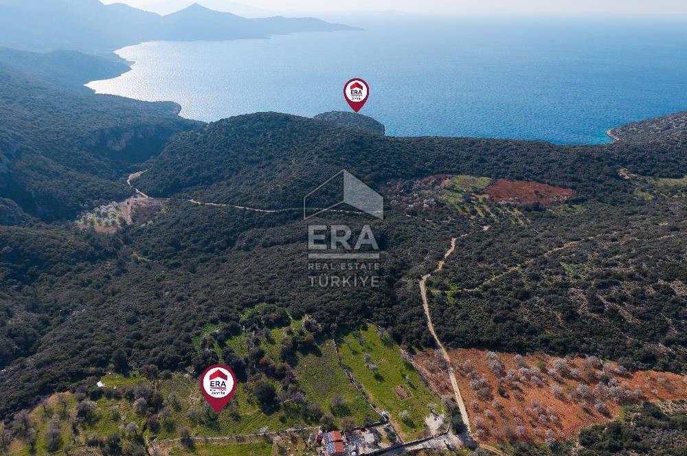 Datça Cumalı Bükceğiz Koyunda Yatırımlık 667 m2 Tarla