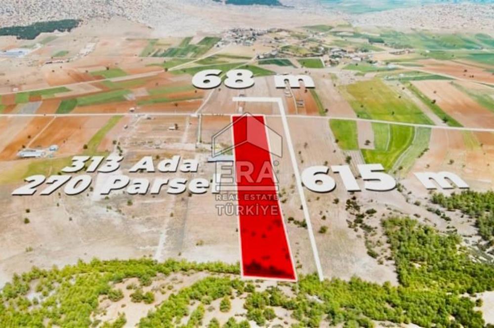 ANTALYA KORKUTTELİ  BOZOVA SATILIK TARLA