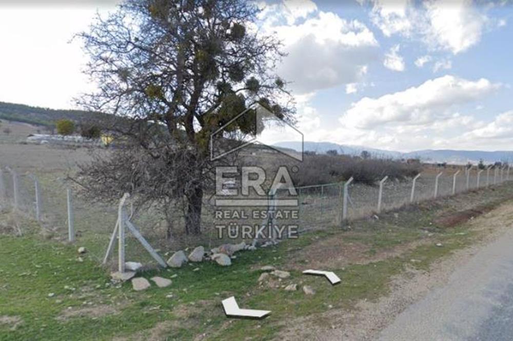 ANTALYA KORKUTTELİ  BOZOVA SATILIK TARLA