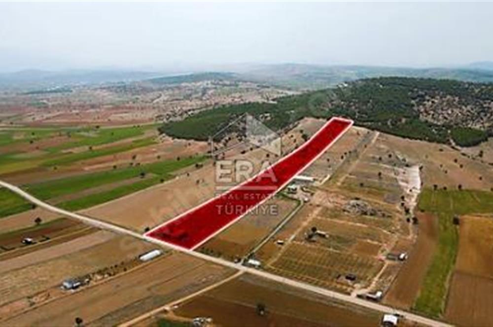 ANTALYA KORKUTTELİ  BOZOVA SATILIK TARLA