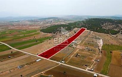 ANTALYA KORKUTTELİ  BOZOVA SATILIK TARLA