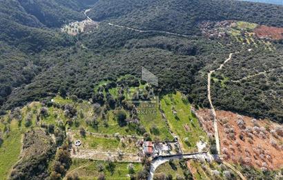 Datça Cumalı Bükceğiz Koyunda Yatırımlık 667 m2 Tarla