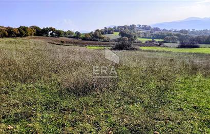 ERA SÖZ GAYRİMENKULDEN BALYA ILICA’DA KAÇIRILMAYACAK YATIRIM FIRSATI SATILIK TARLA