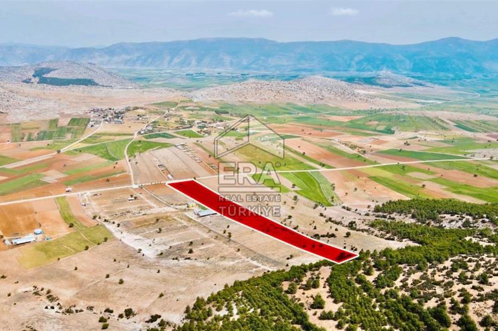 ANTALYA KORKUTTELİ  BOZOVA SATILIK TARLA