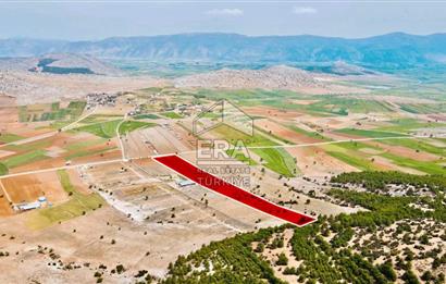 ANTALYA KORKUTTELİ  BOZOVA SATILIK TARLA