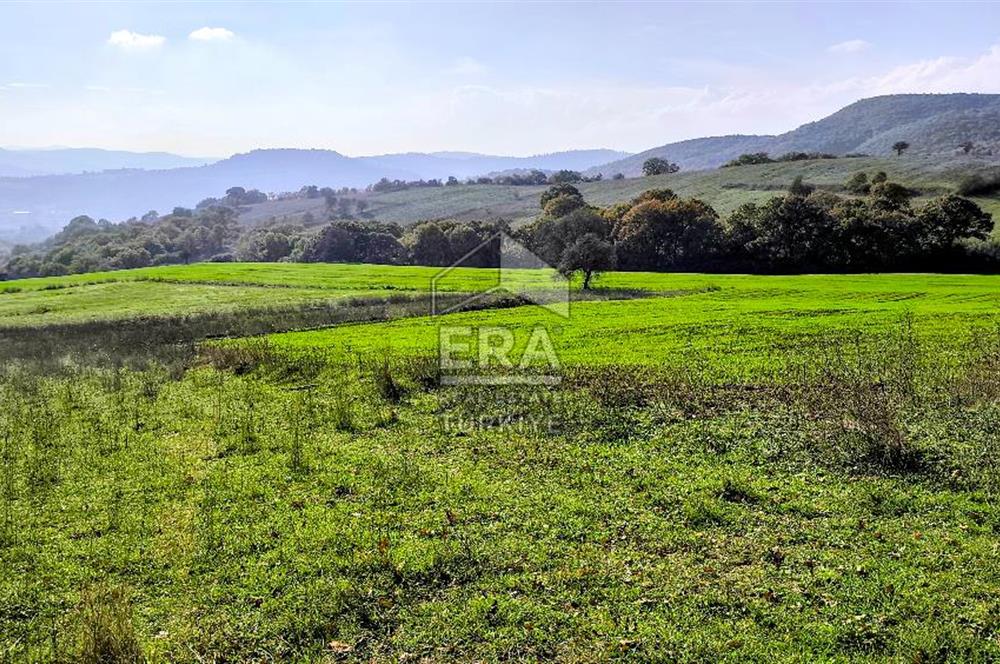ERA SÖZ GAYRİMENKULDEN BALYA ILICA’DA KAÇIRILMAYACAK YATIRIM FIRSATI SATILIK TARLA