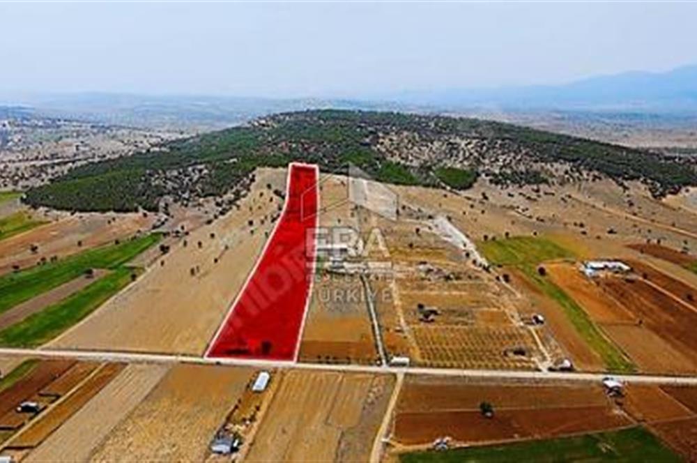 ANTALYA KORKUTTELİ  BOZOVA SATILIK TARLA