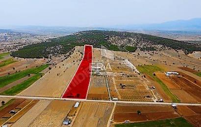ANTALYA KORKUTTELİ  BOZOVA SATILIK TARLA
