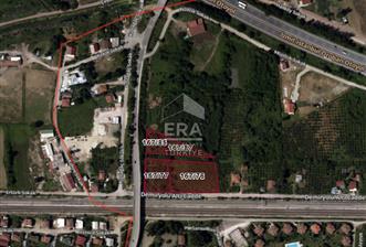 ERA KARAT MAŞUKİYE SATILIK ARSA - 3 - 13876