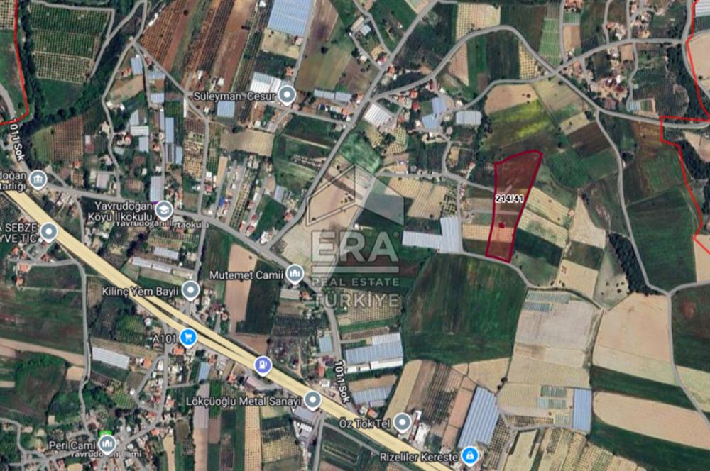 ANTALYA MANAVGAT YAVRUDOĞAN MAHALLESİ SATILIK TARLA