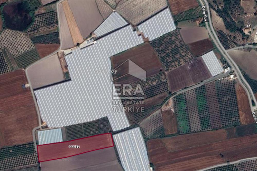 ANTALYA MANAVGAT BEREKET MAHALLESİ SATILIK TEK TAPU TARLA