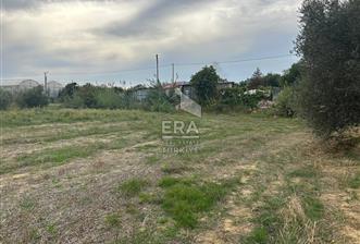 ANTALYA MANAVGAT YAVRUDOĞAN MAHALLESİ SATILIK TARLA - 1 - 13830