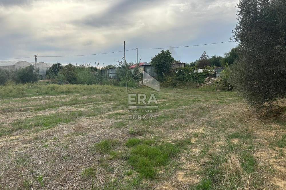 ANTALYA MANAVGAT YAVRUDOĞAN MAHALLESİ SATILIK TARLA