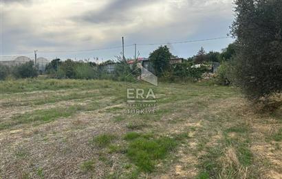 ANTALYA MANAVGAT YAVRUDOĞAN MAHALLESİ SATILIK TARLA