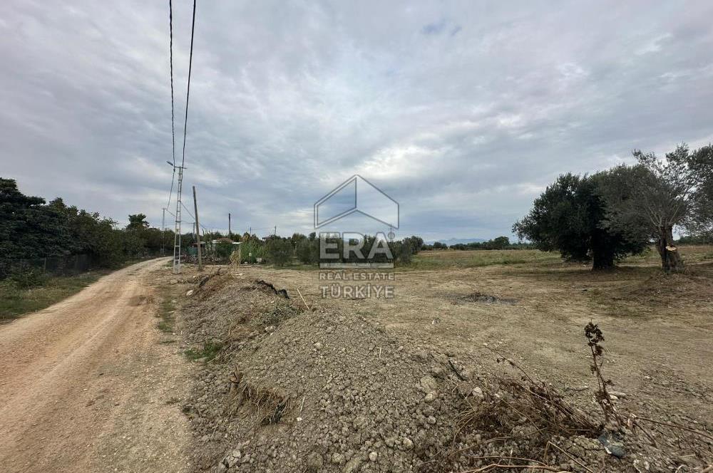 ANTALYA MANAVGAT YAVRUDOĞAN MAHALLESİ SATILIK TARLA