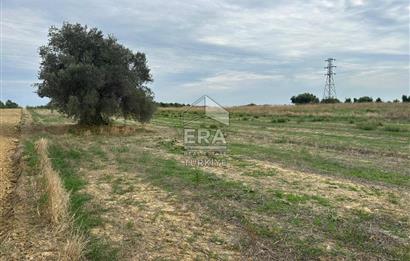 ANTALYA MANAVGAT YAVRUDOĞAN MAHALLESİ SATILIK TARLA