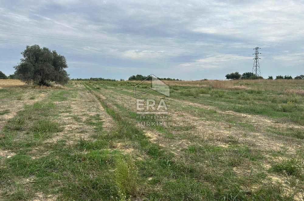 ANTALYA MANAVGAT YAVRUDOĞAN MAHALLESİ SATILIK TARLA