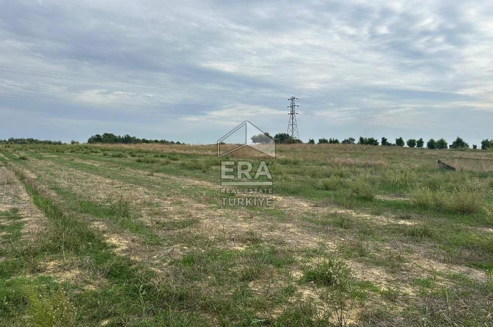 ANTALYA MANAVGAT YAVRUDOĞAN MAHALLESİ SATILIK TARLA