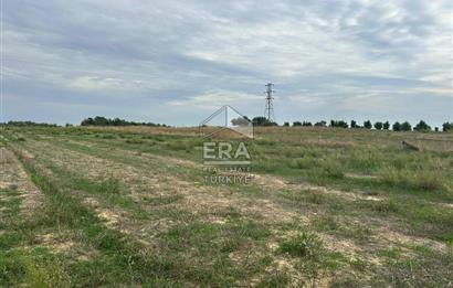 ANTALYA MANAVGAT YAVRUDOĞAN MAHALLESİ SATILIK TARLA